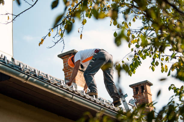 Best Roof Leak Repair  in Basin, WY