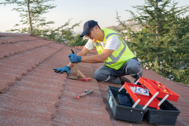 Best Metal Roofing Contractor  in Basin, WY